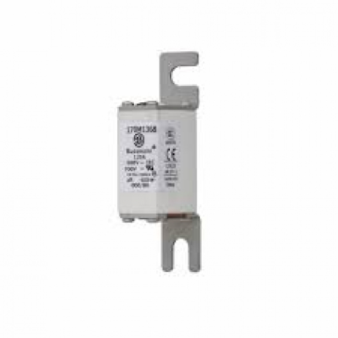 170M13681.jpg
