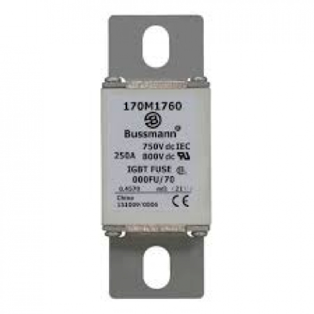 170M1760.jpg