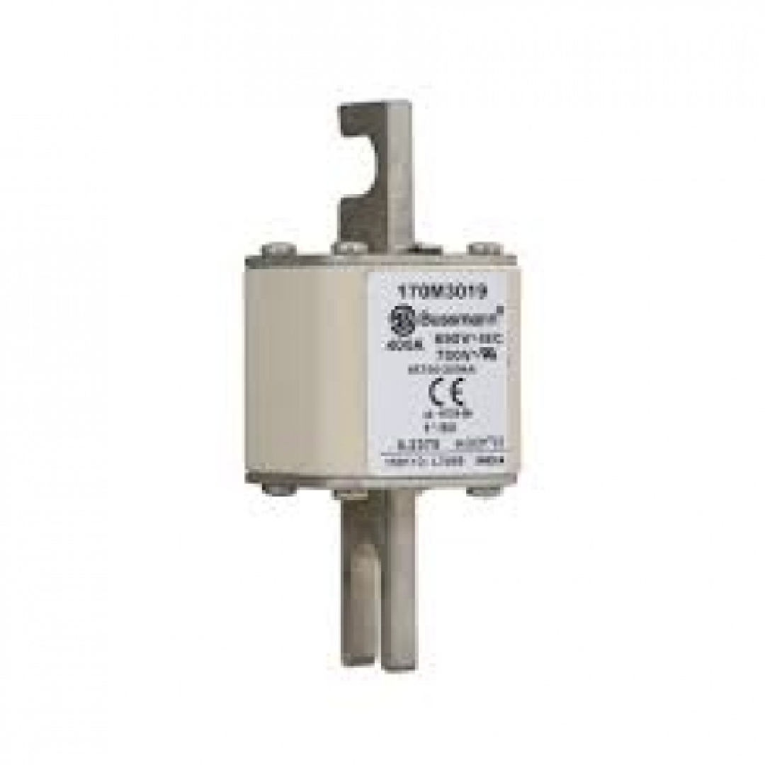 170M3019.jpg
