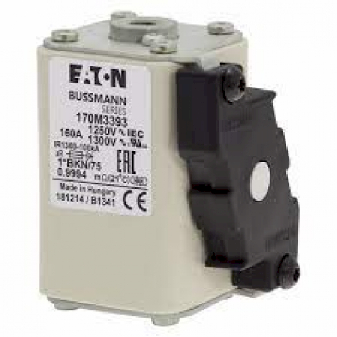 170M3393.jpg