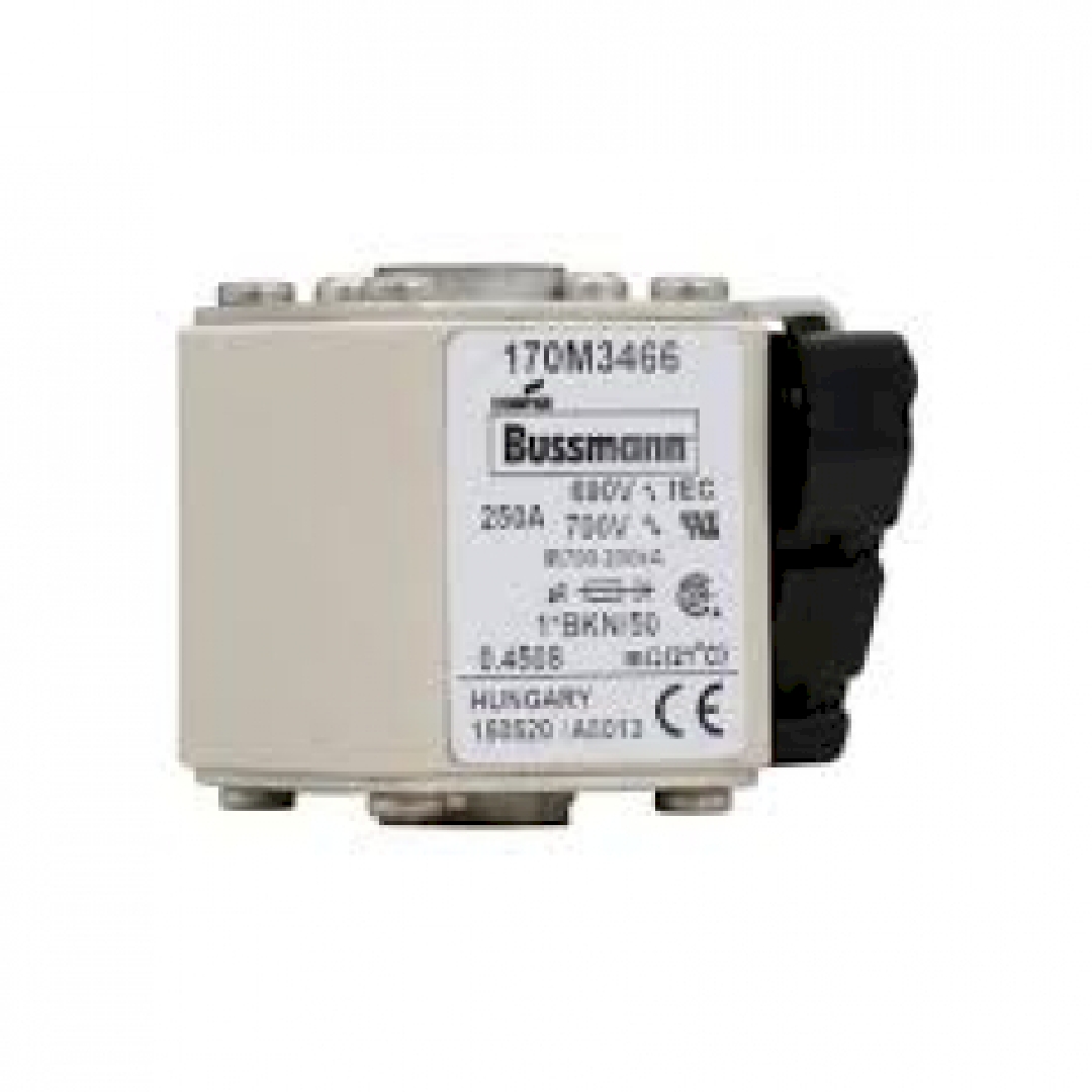 170M3466.jpg