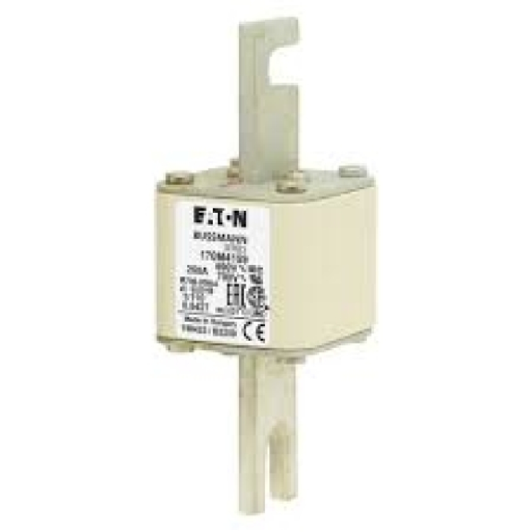 170M4159.jpg