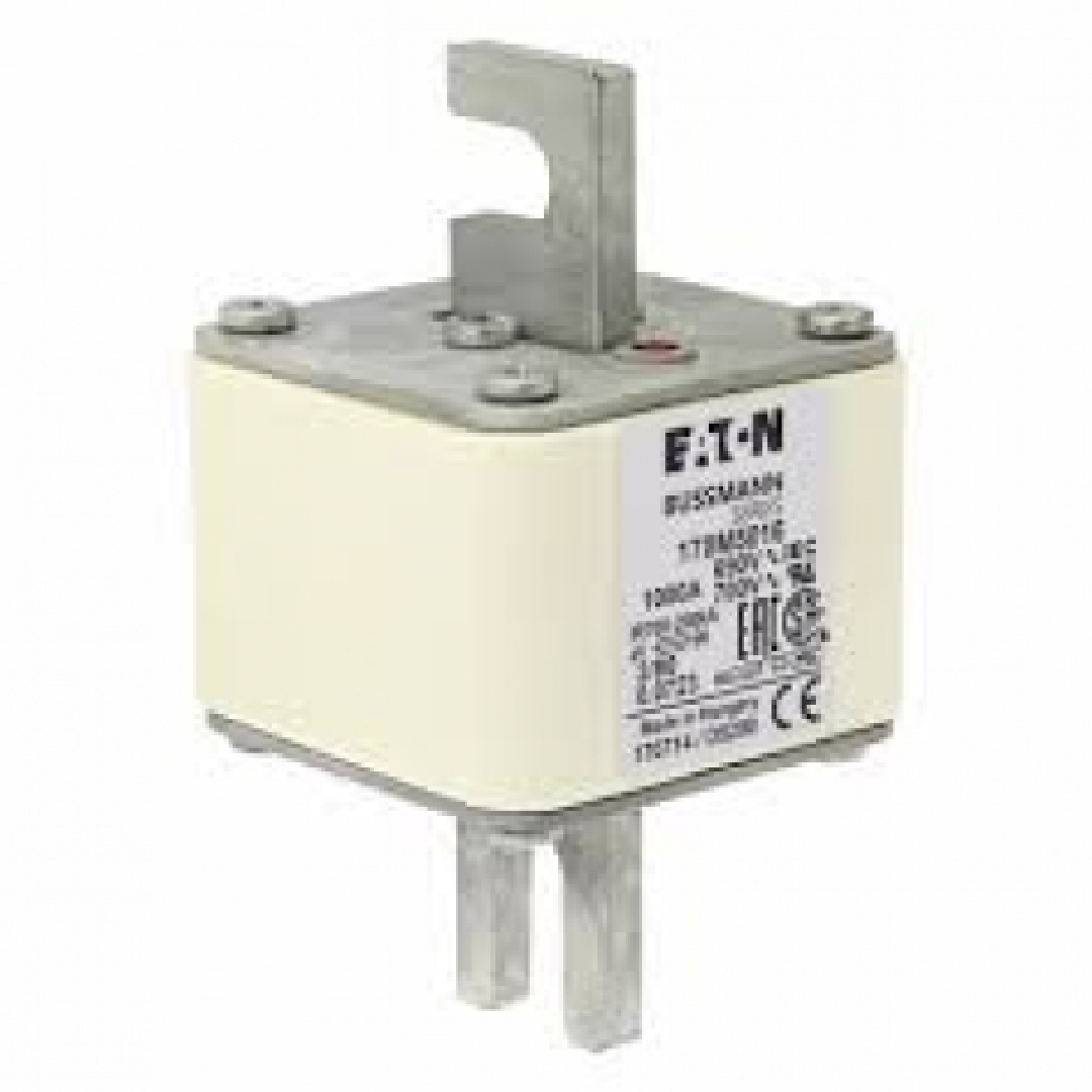 170M5016.jpg
