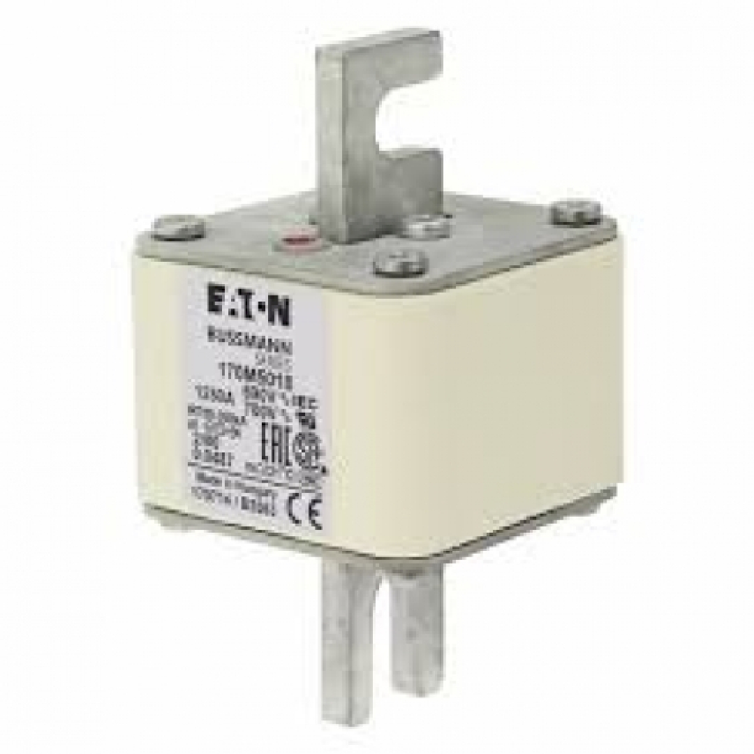 170M5018.jpg