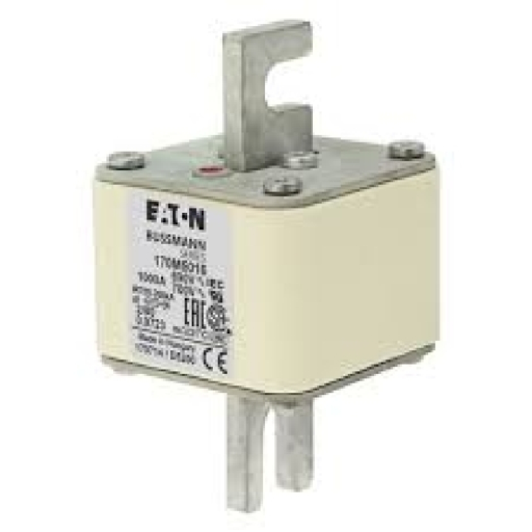 170M5066.jpg