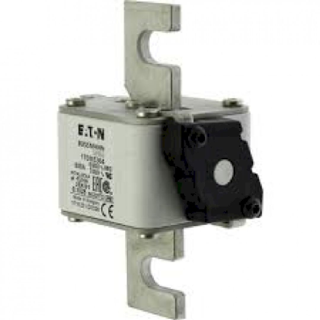170M5364.jpg