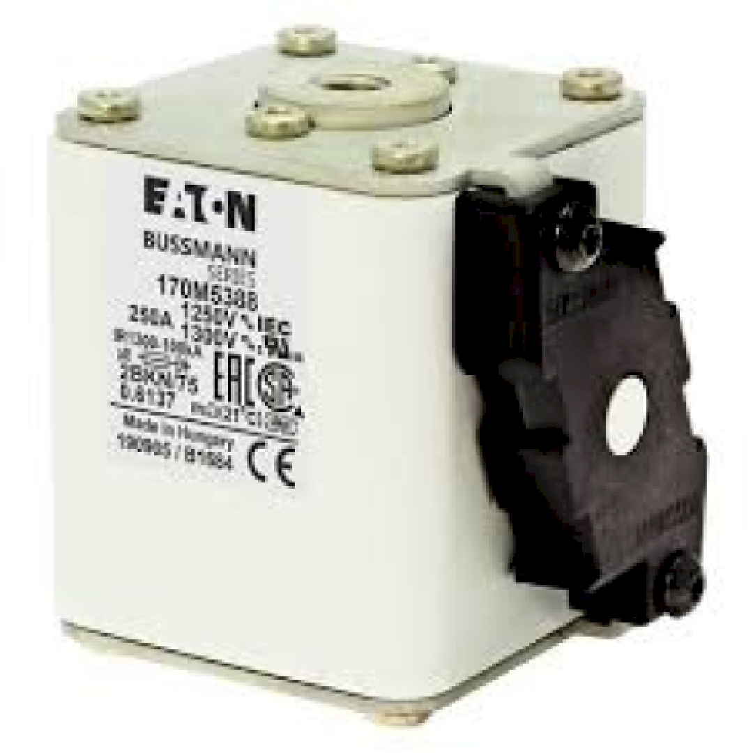 170M5388.jpg