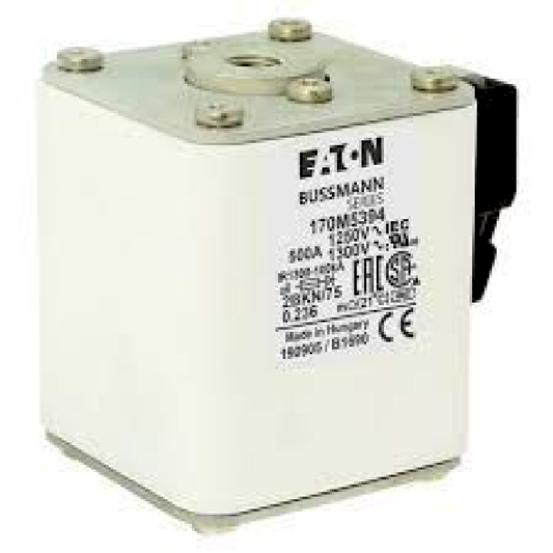 170M5394.jpg