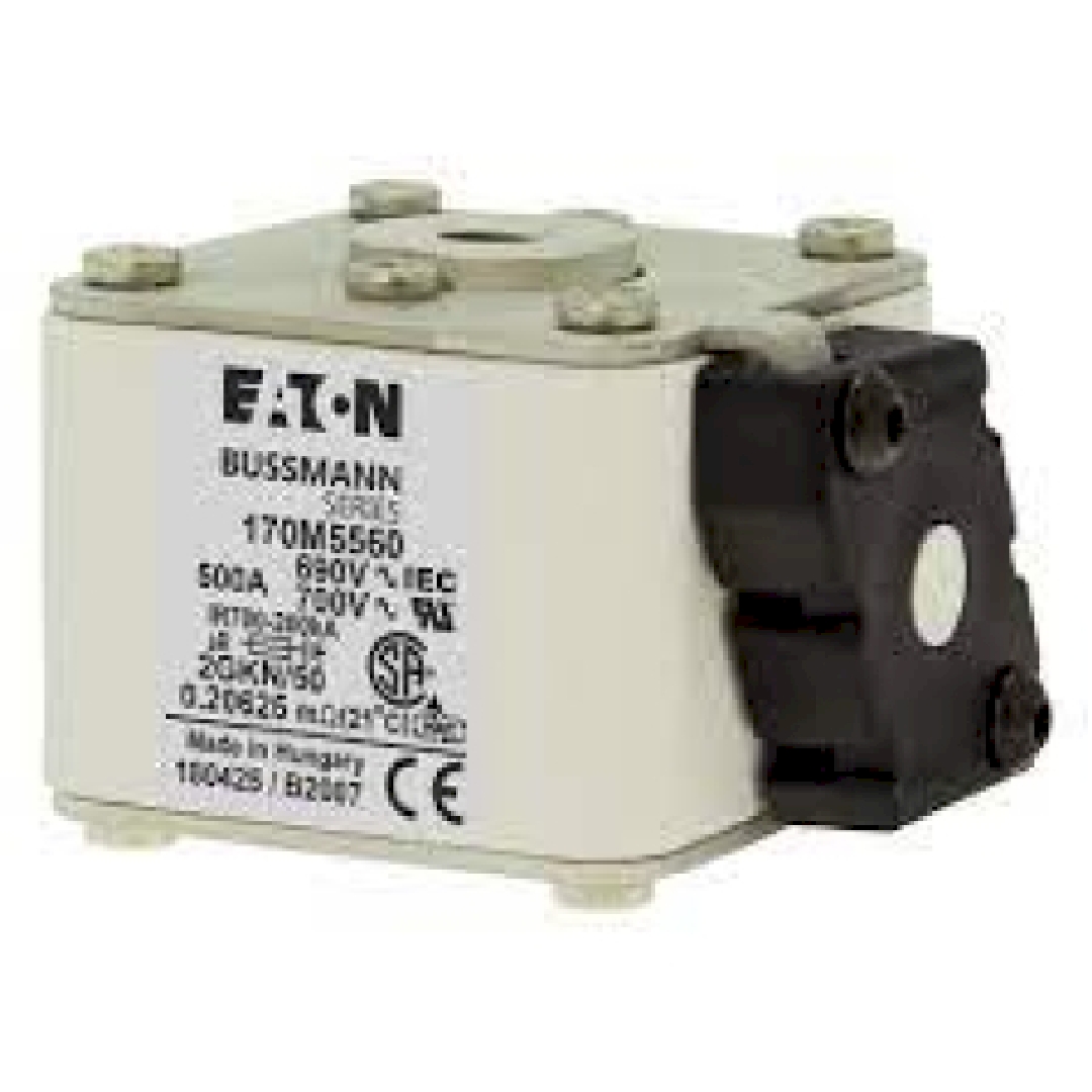170M5561.jpg