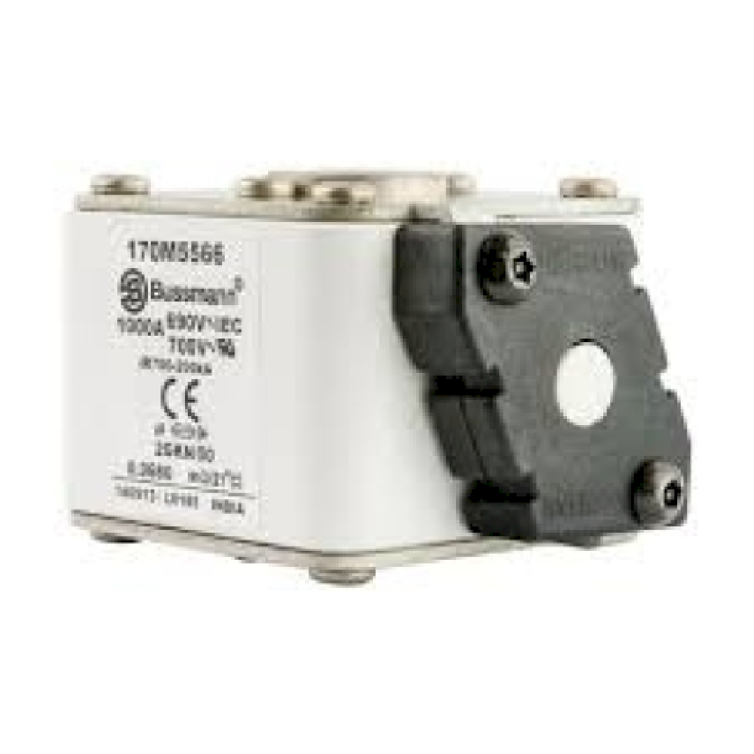 170M5566.jpg