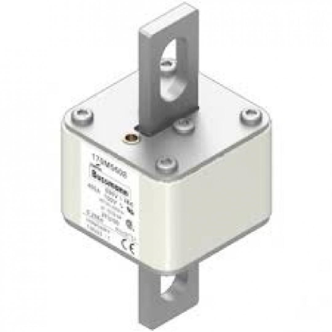 170M5608.jpg