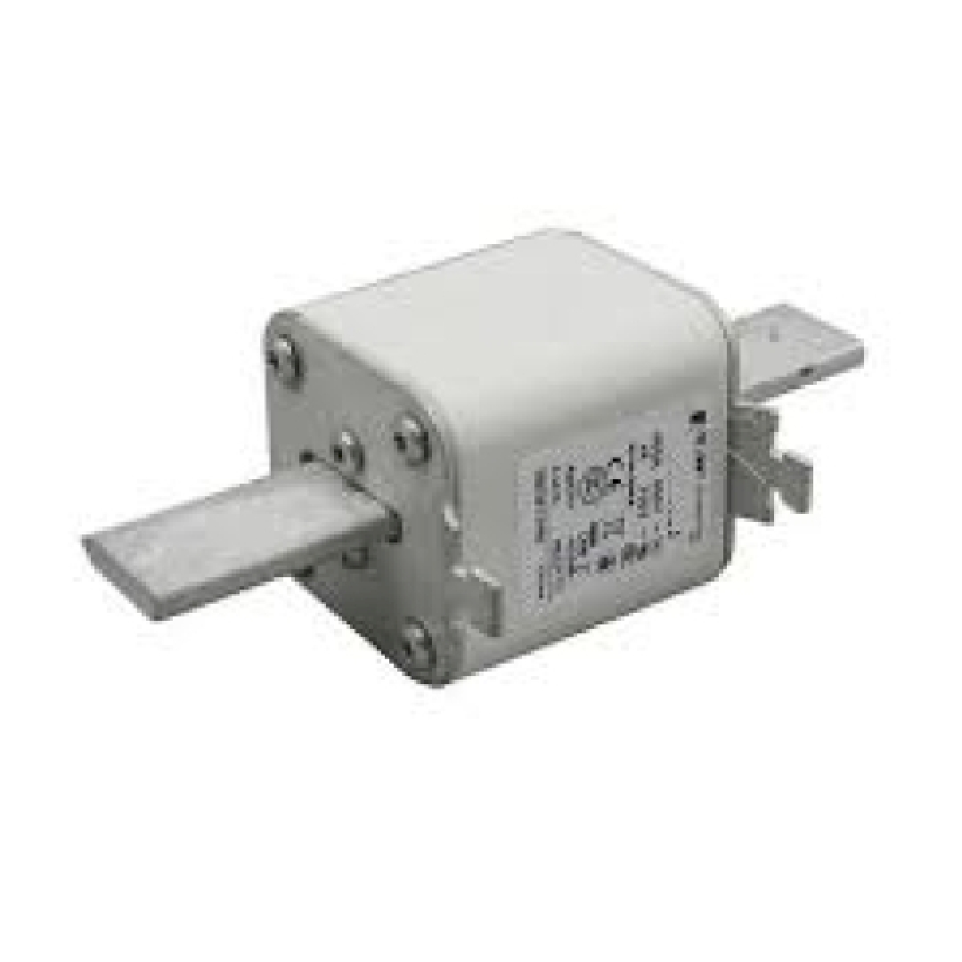 170M5813.jpg
