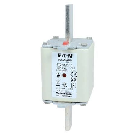 170M5813D.jpg