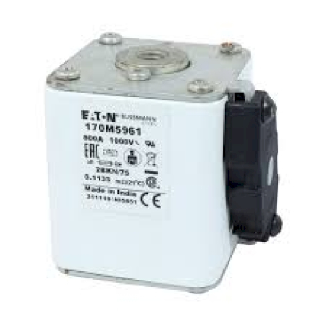 170M5961.jpg