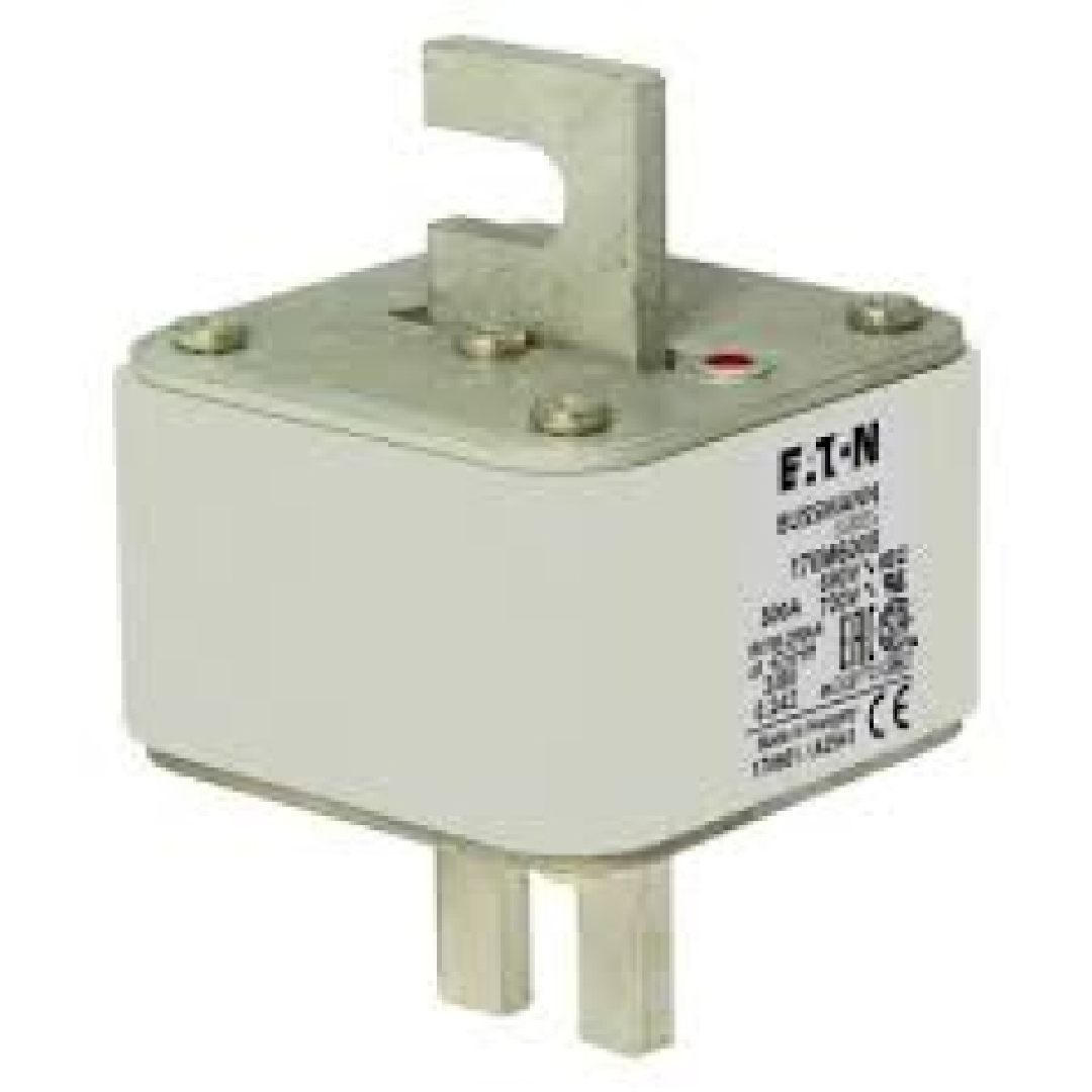 170M6008.jpg