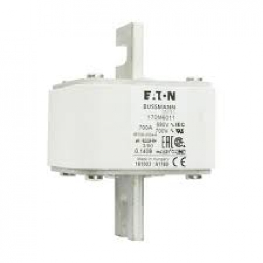 170M6011.jpg