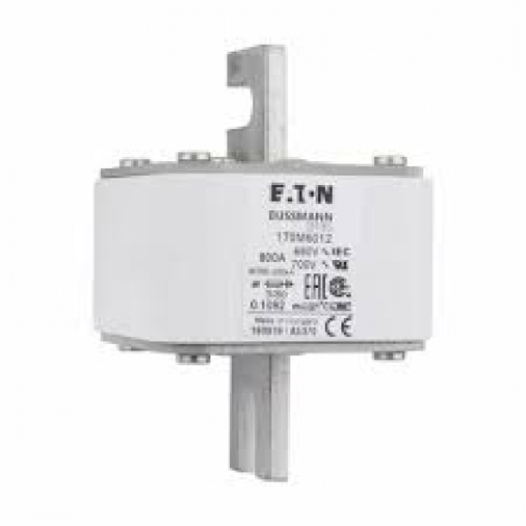 170M6012.jpg