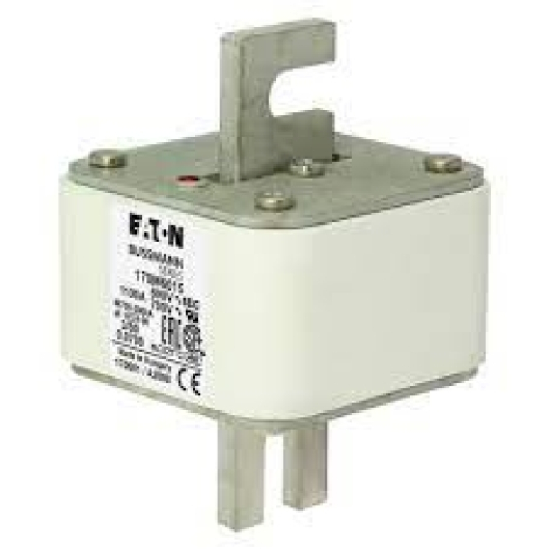 170M6015.jpg