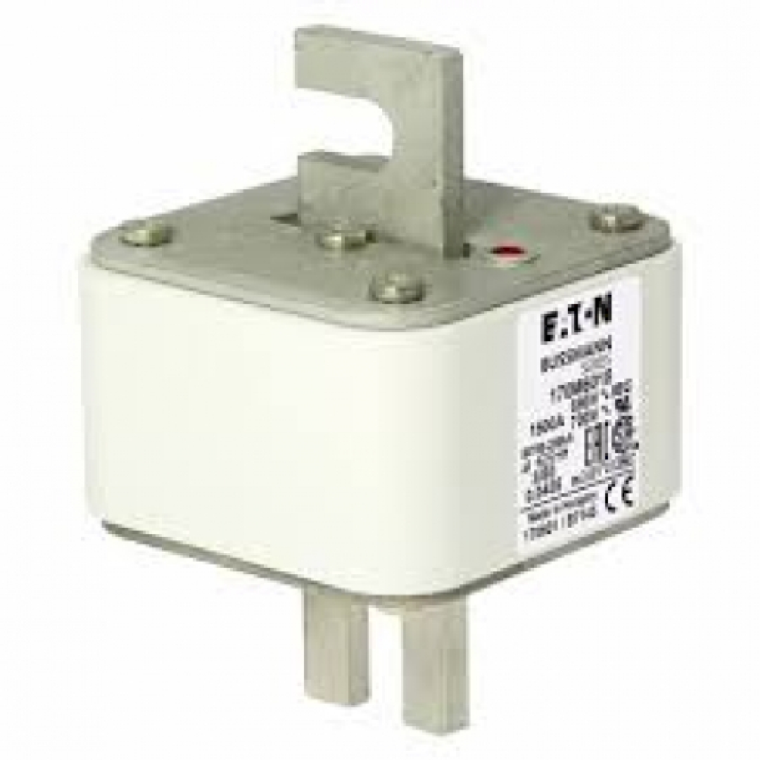 170M6018.jpg