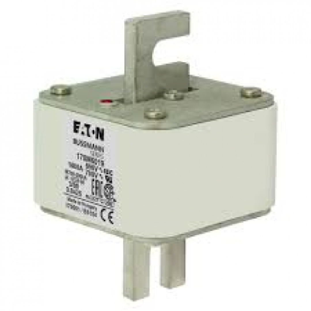 170M6019.jpg
