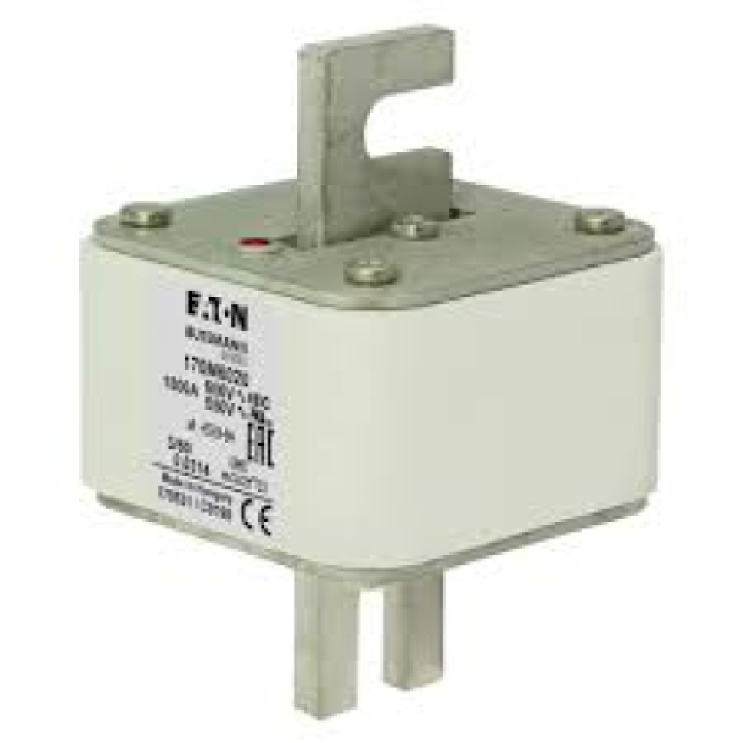 170M6020.jpg