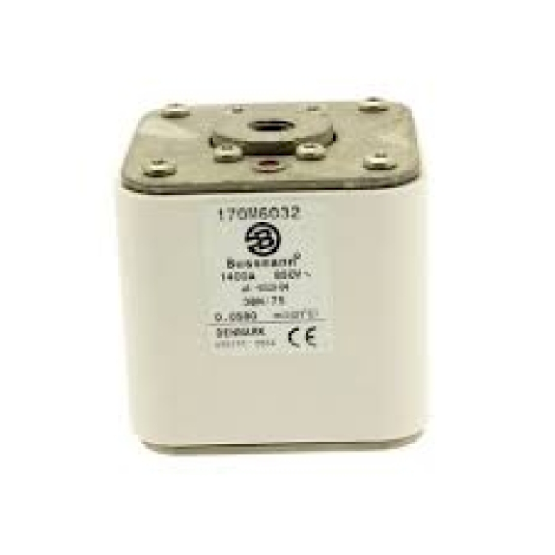 170M6032.jpg