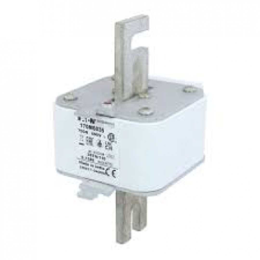 170M6035.jpg