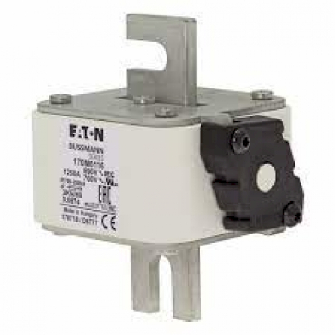 170M6116.jpg