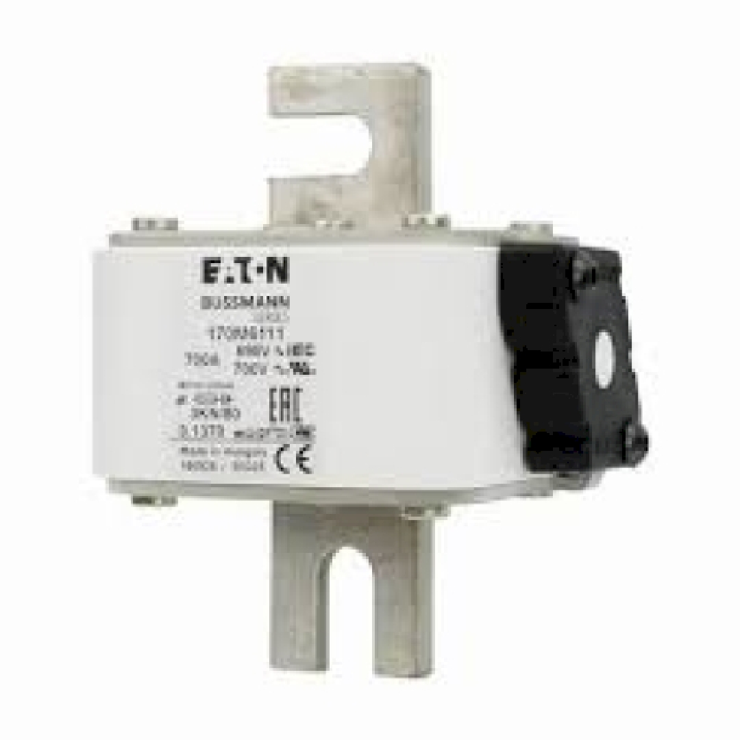 170M6120.jpg
