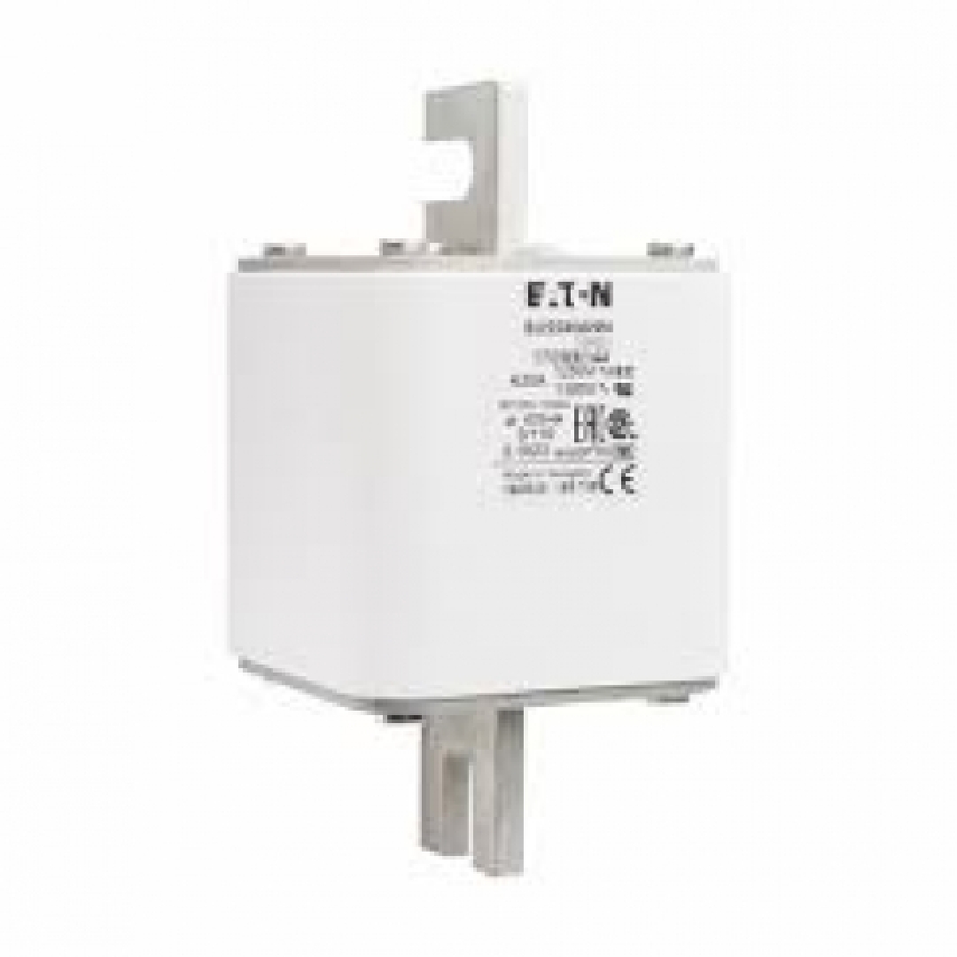170M6144.jpg