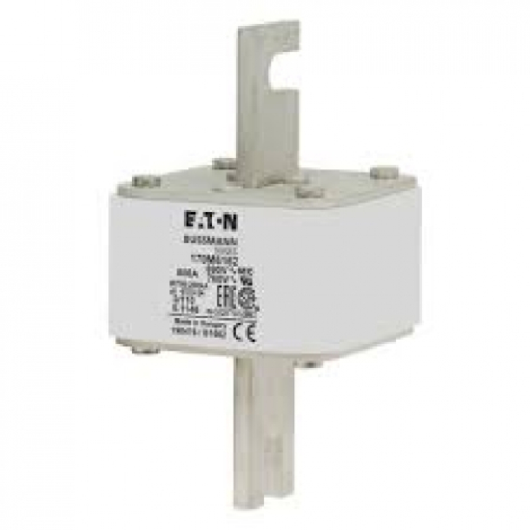 170M6162.jpg