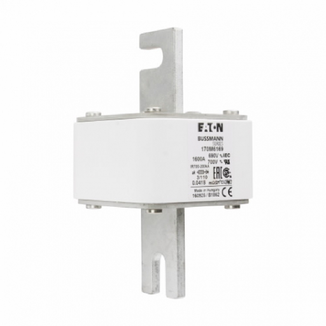 170M6169.jpg