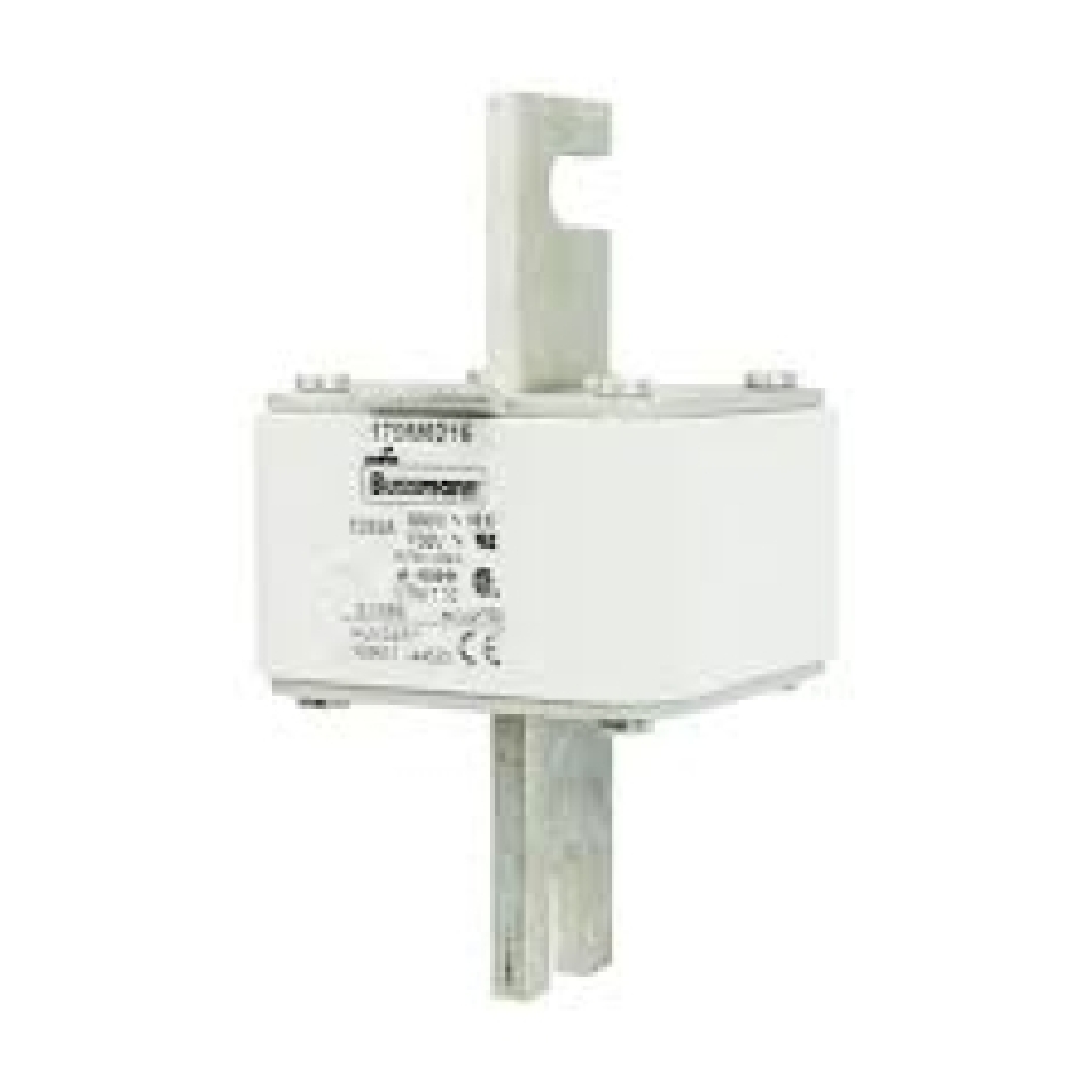 170M6216.jpg