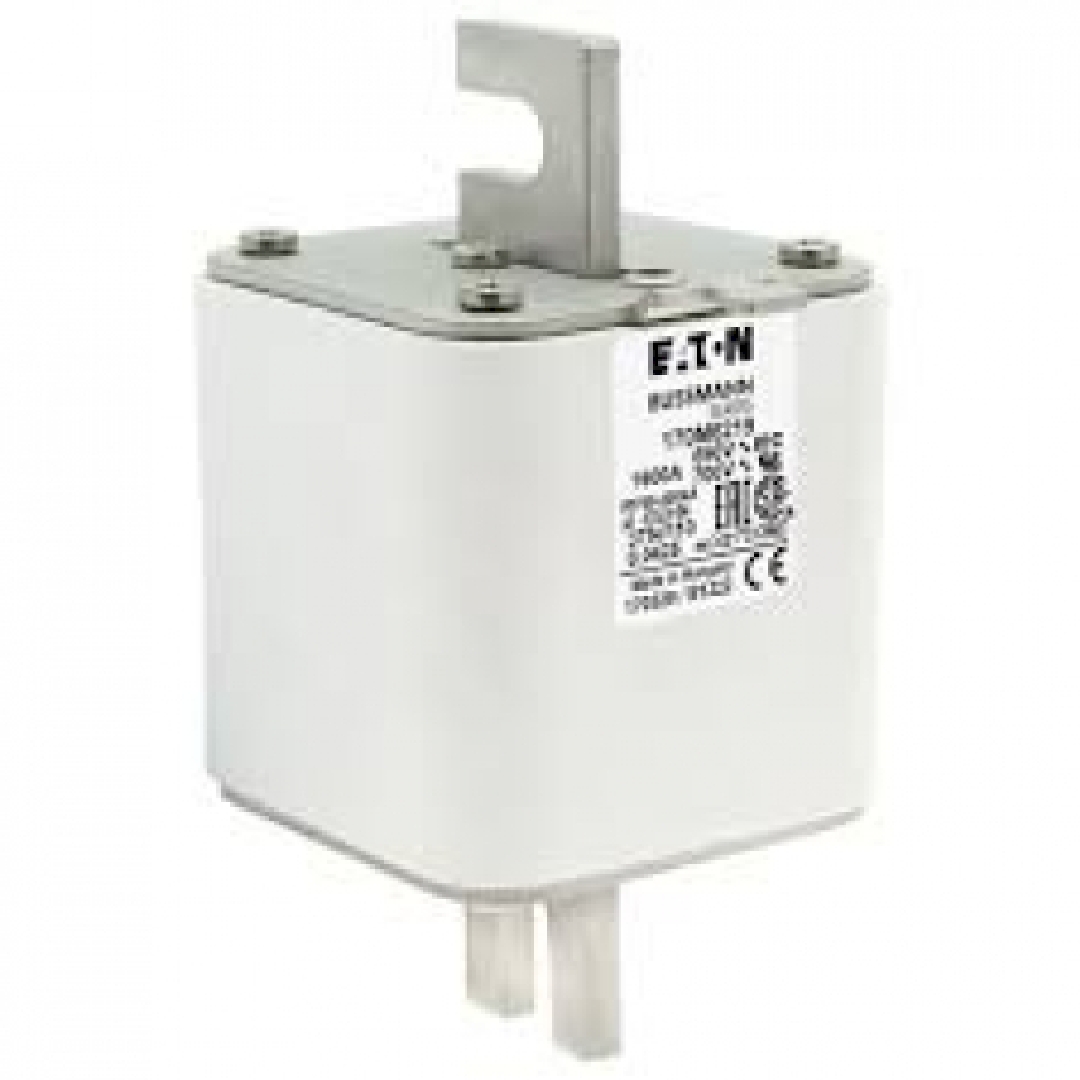 170M6219.jpg