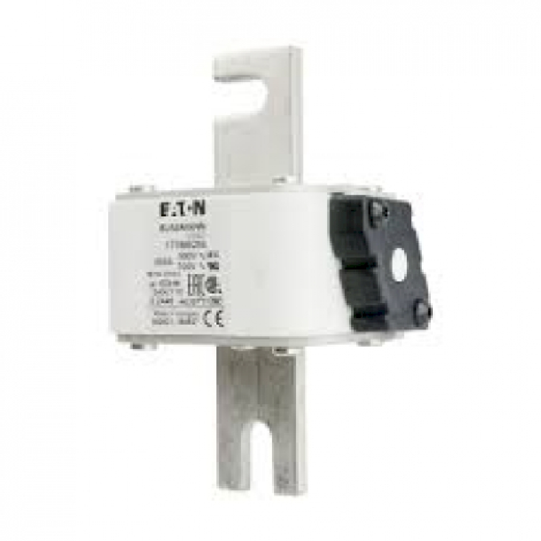 170M6258.jpg