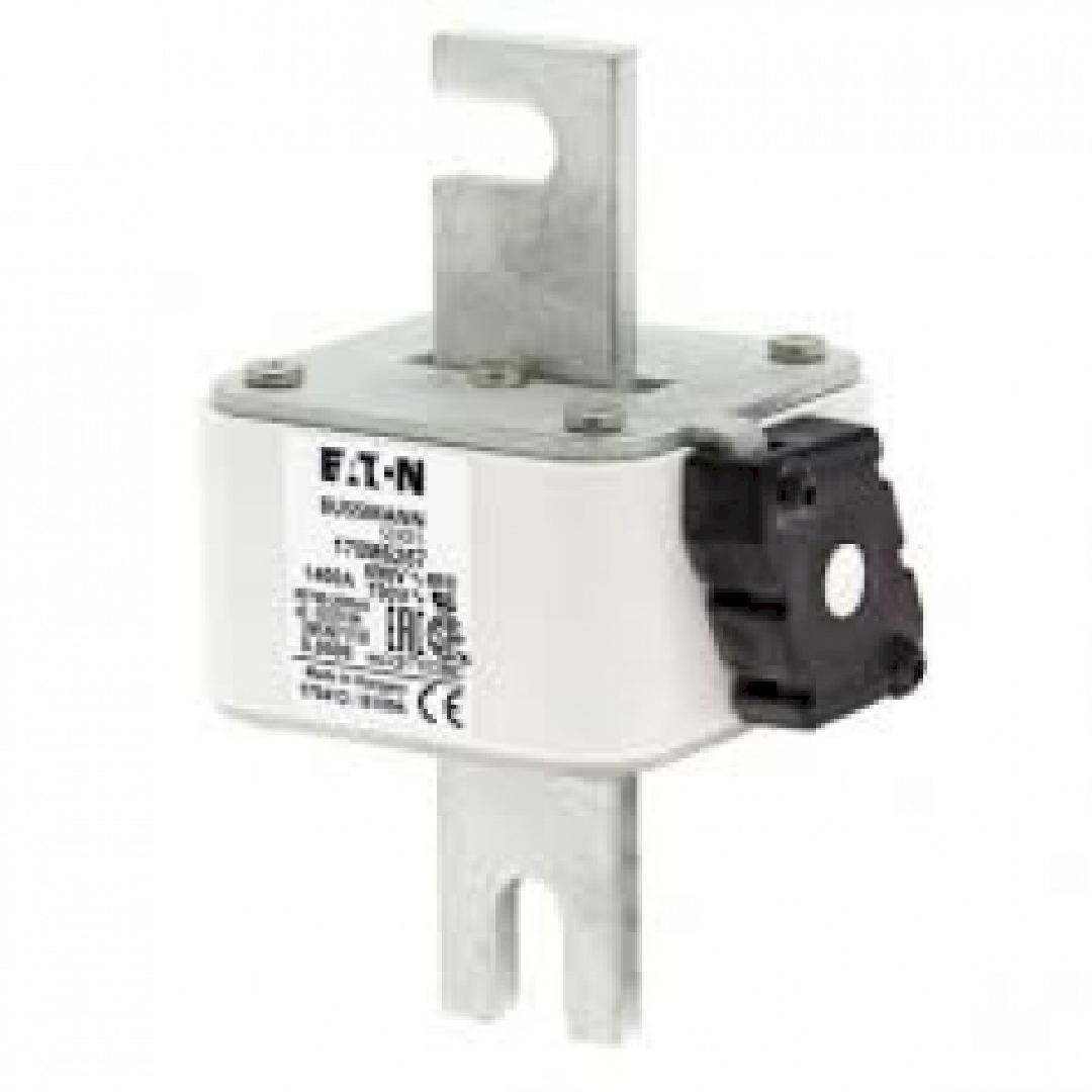170M6267.jpg