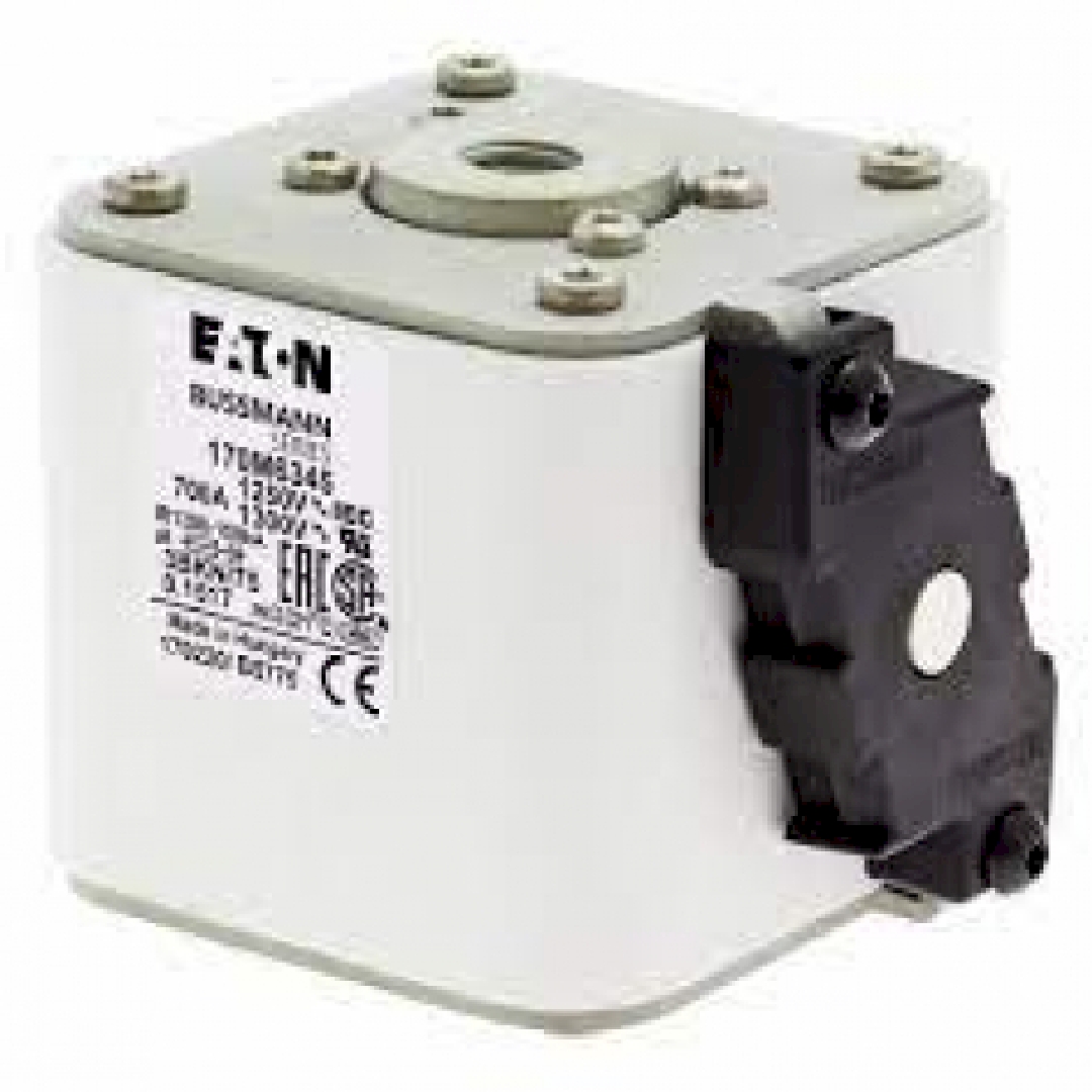170M6345.jpg