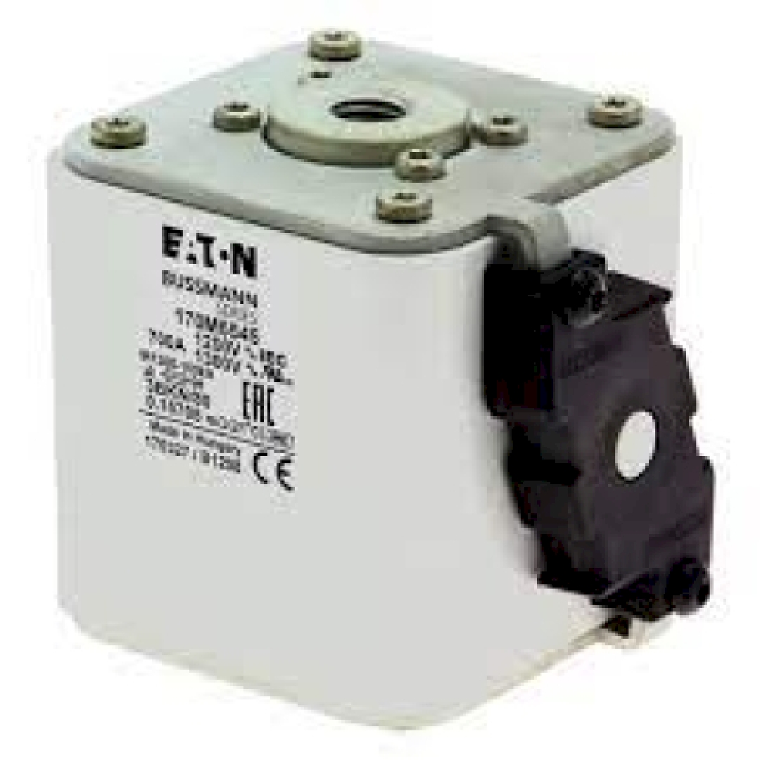 170M6545.jpg