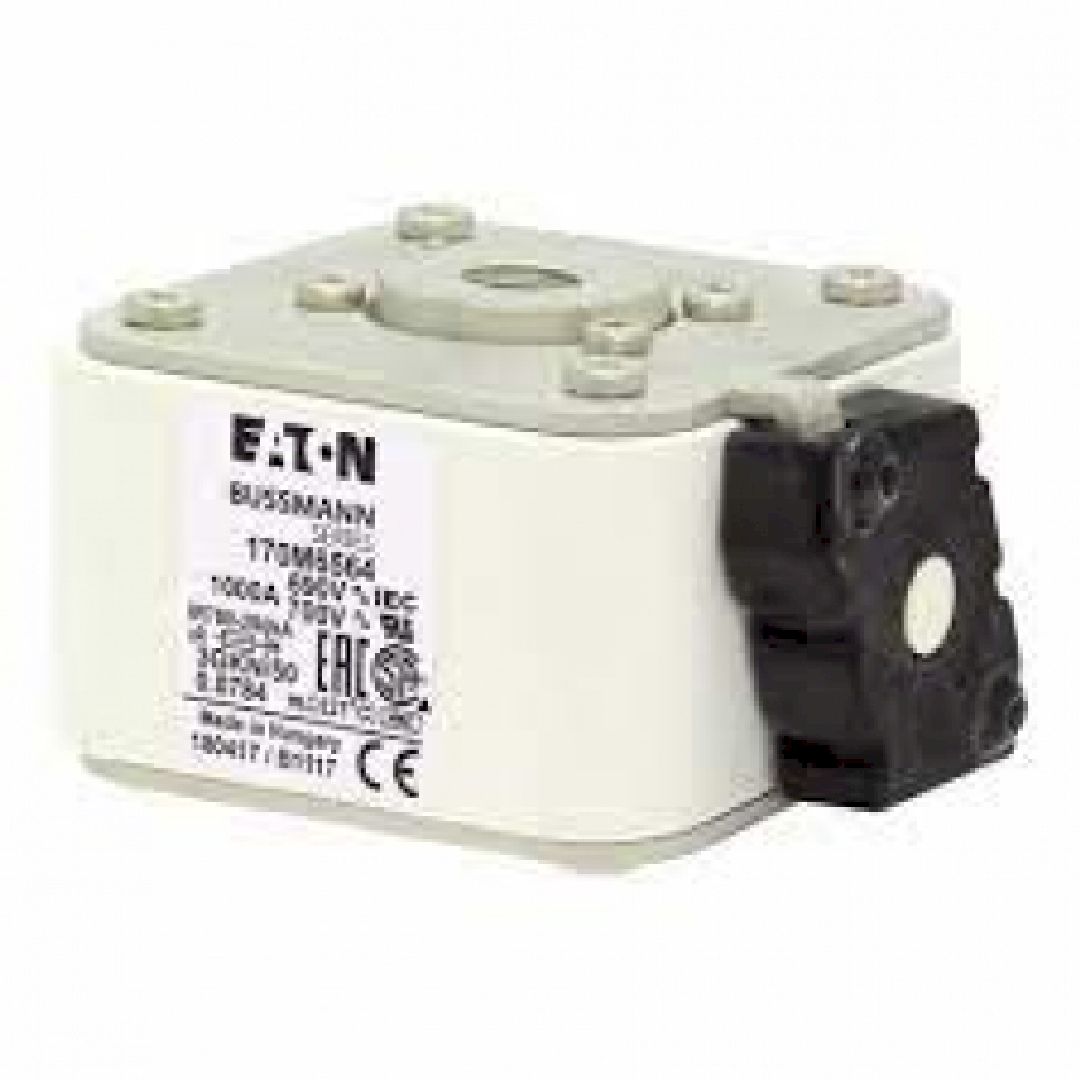 170M6564.jpg