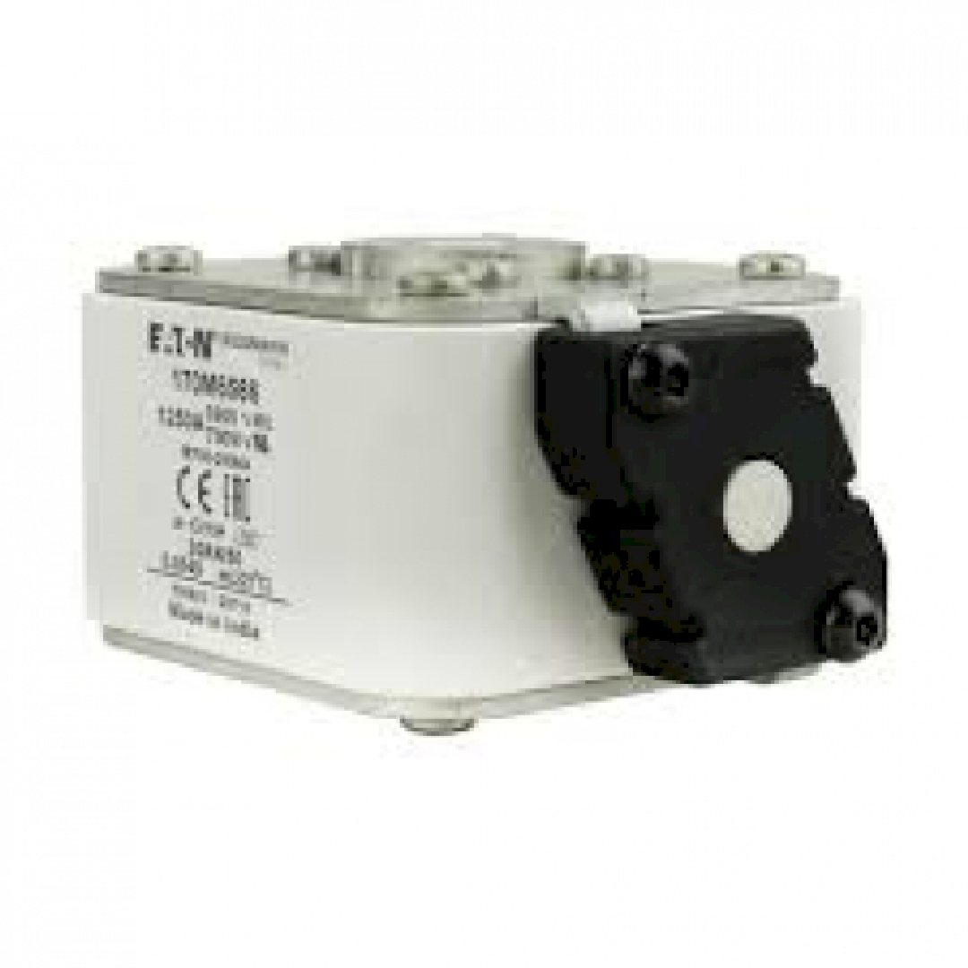 170M6566.jpg