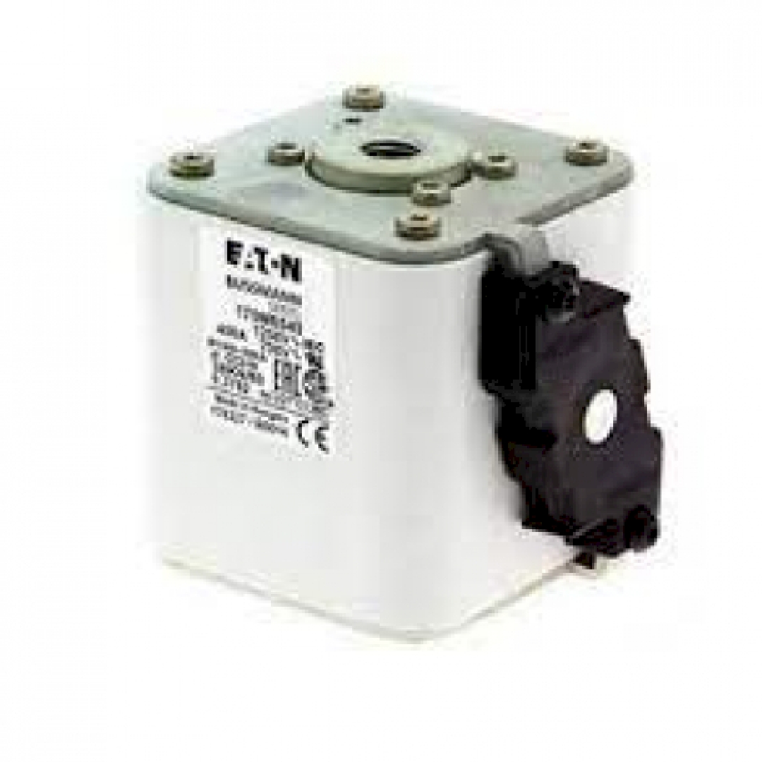 170M6595.jpg