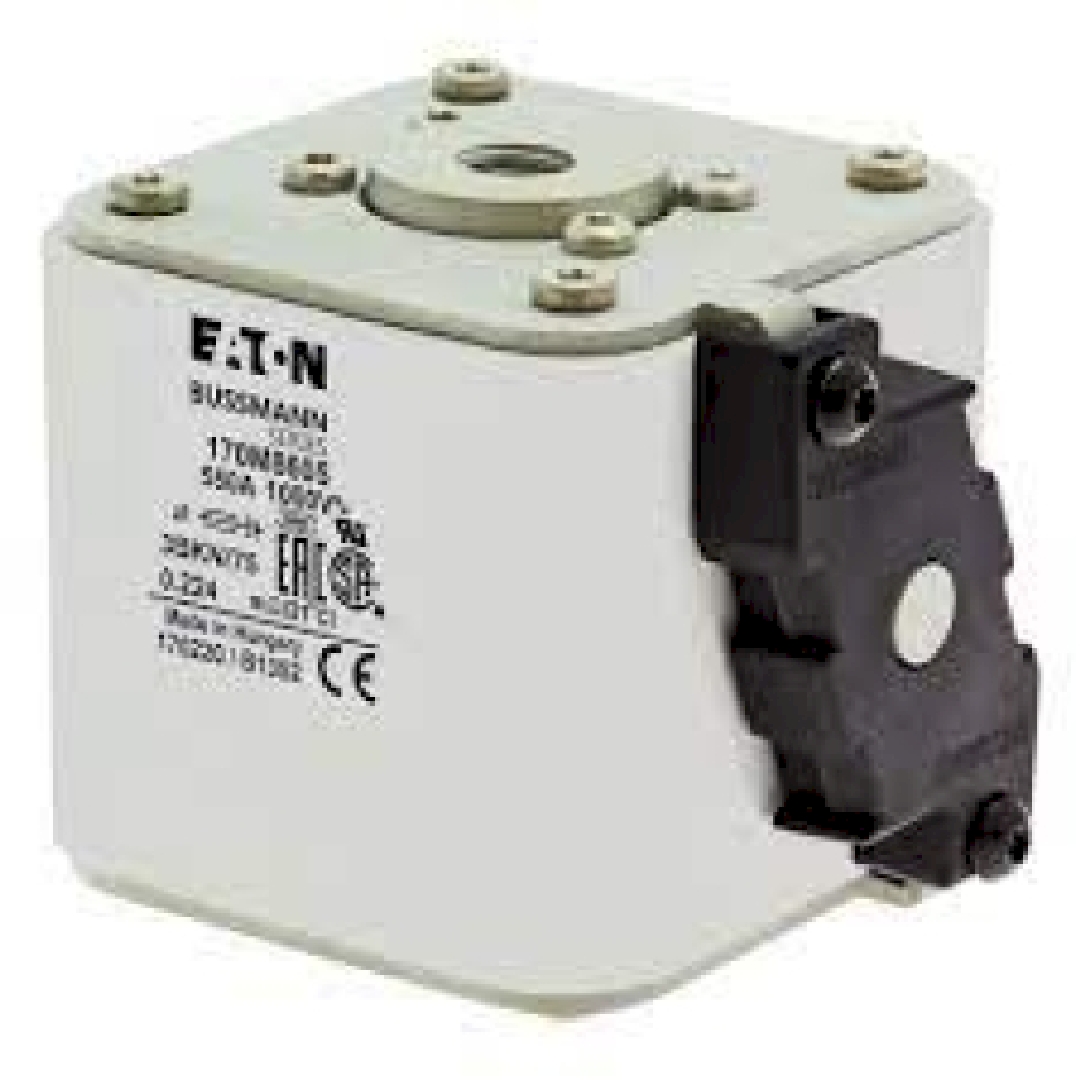 170M8605.jpg