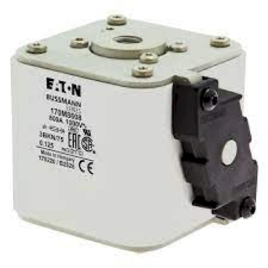170M8608.jpg