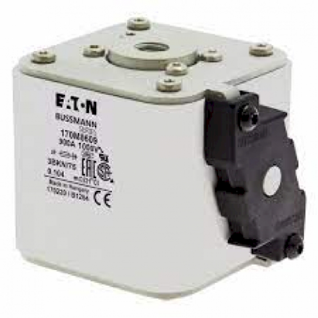 170M8609.jpg