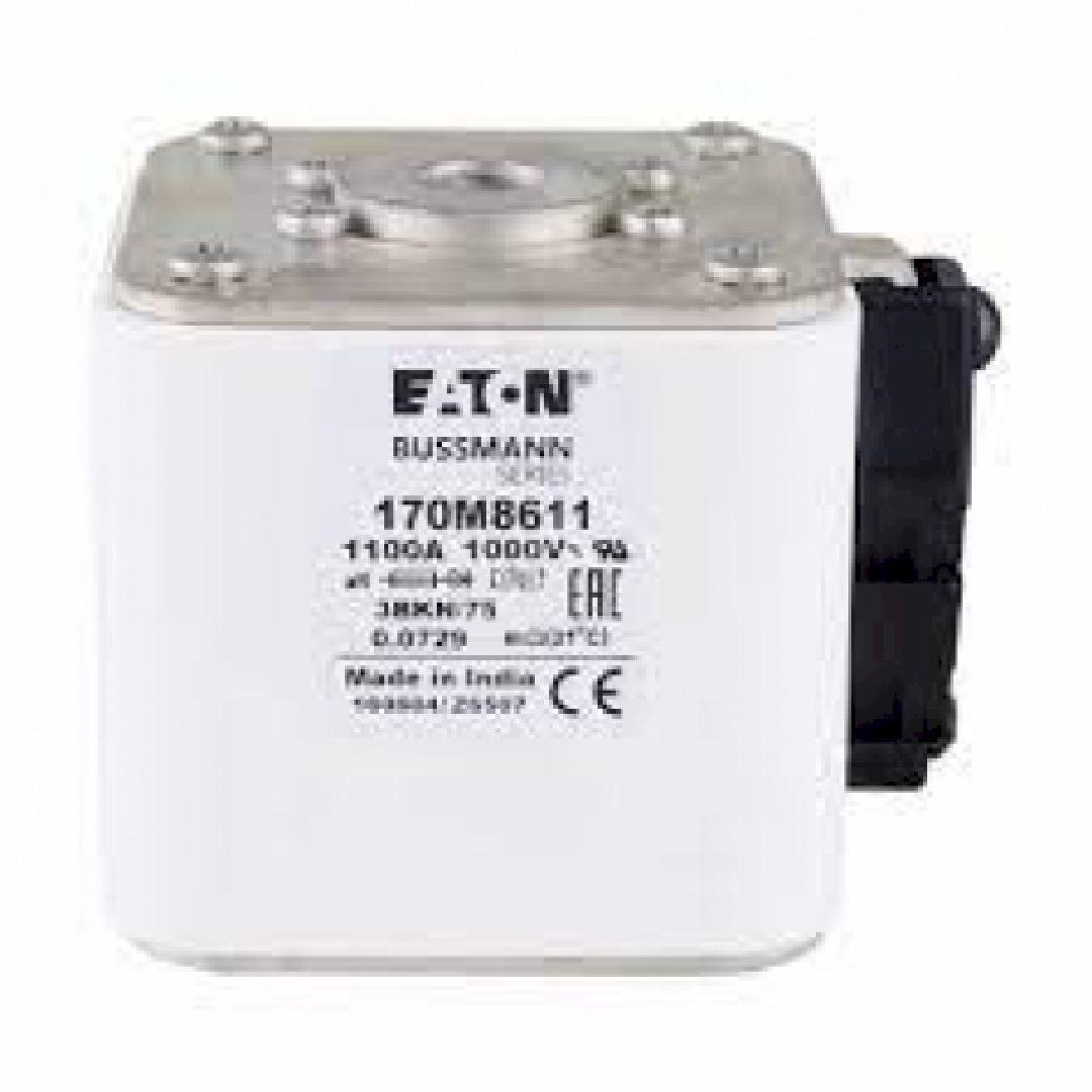 170M8611.jpg