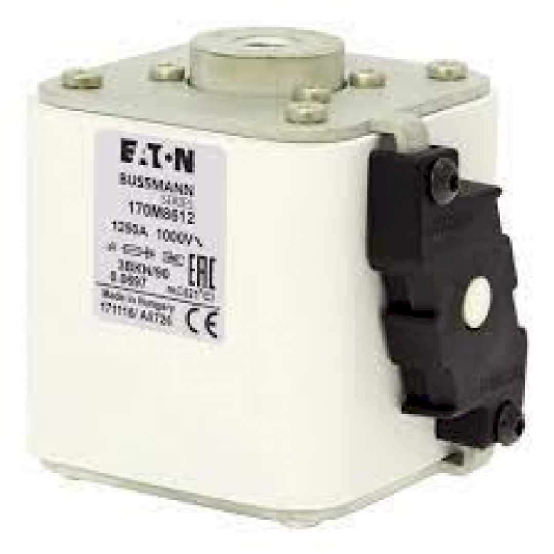 170M8612.jpg
