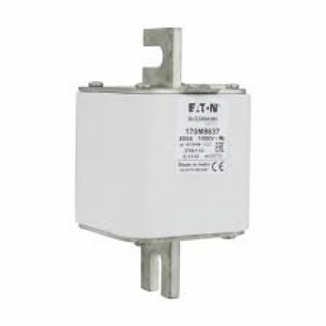 170M8637.jpg