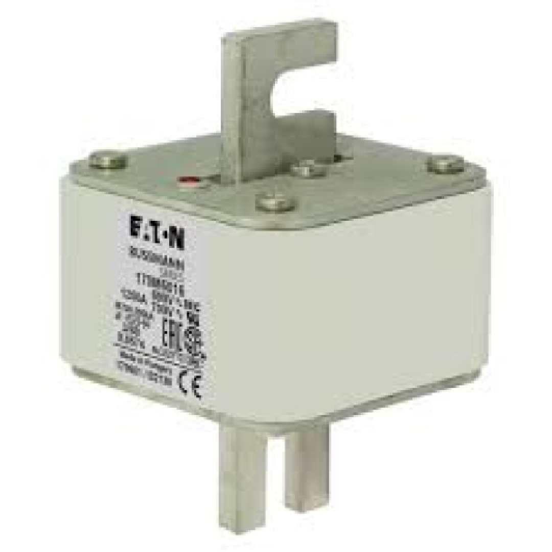 170m6016.jpg