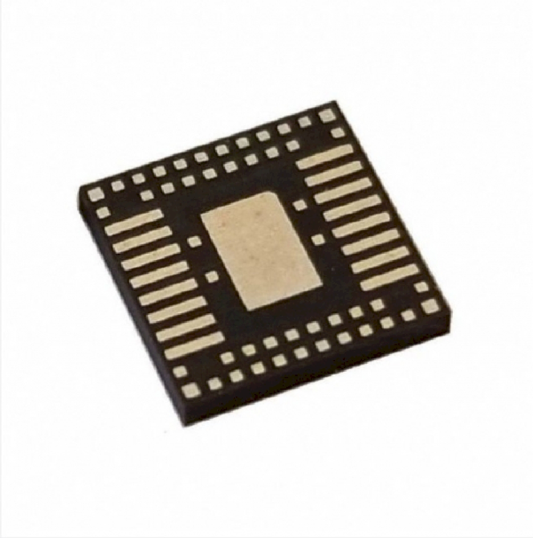 AMP8D6QF65.jpg
