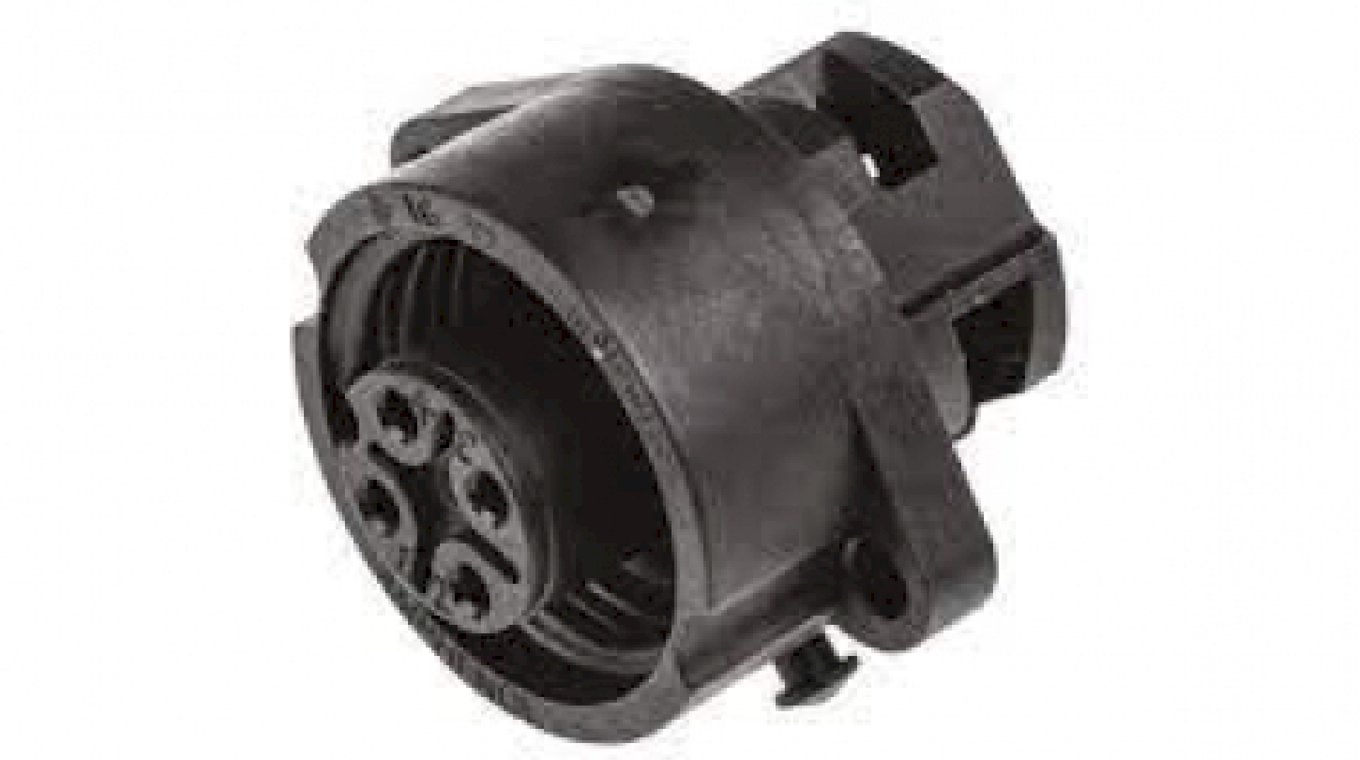 C01620G00310012.jpg